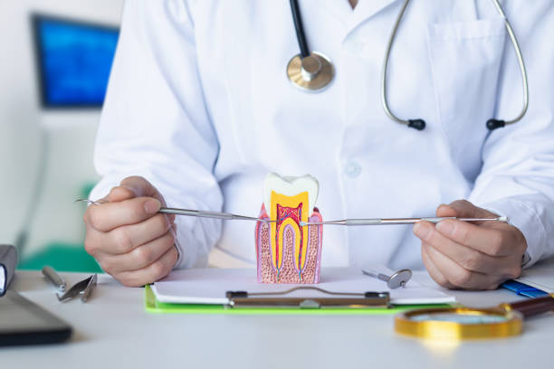 Best Emergency Orthodontic Repairs in Darrington, WA